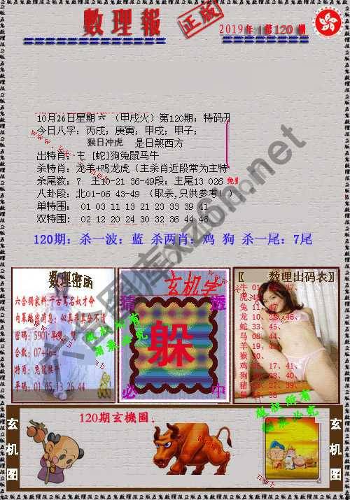 数理报