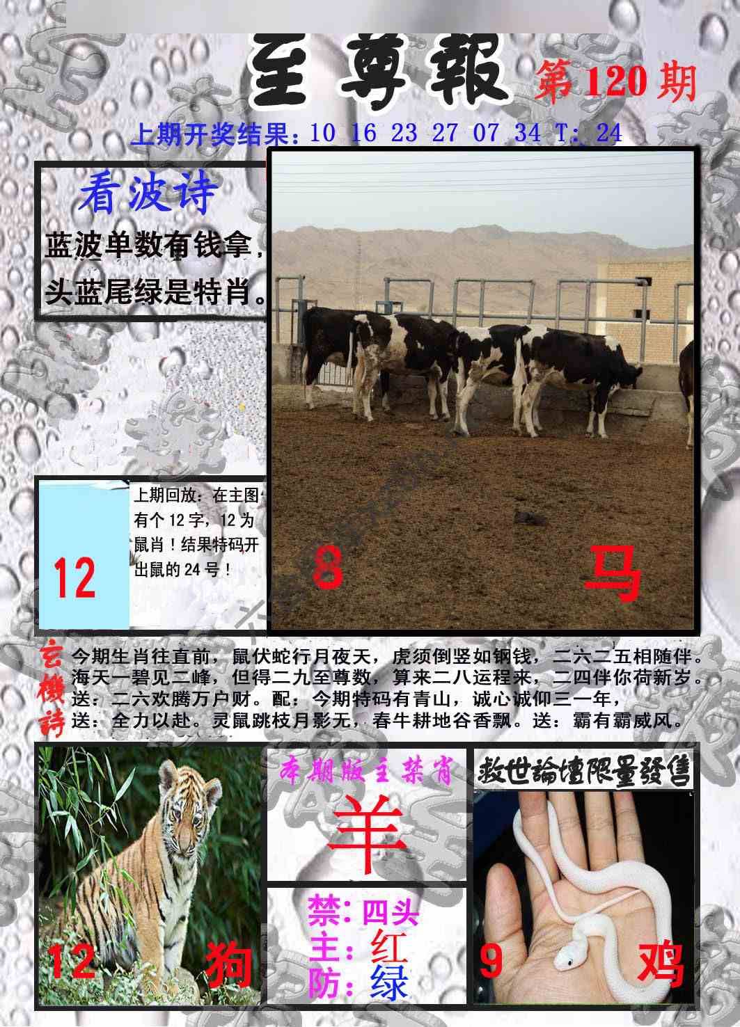 至尊报