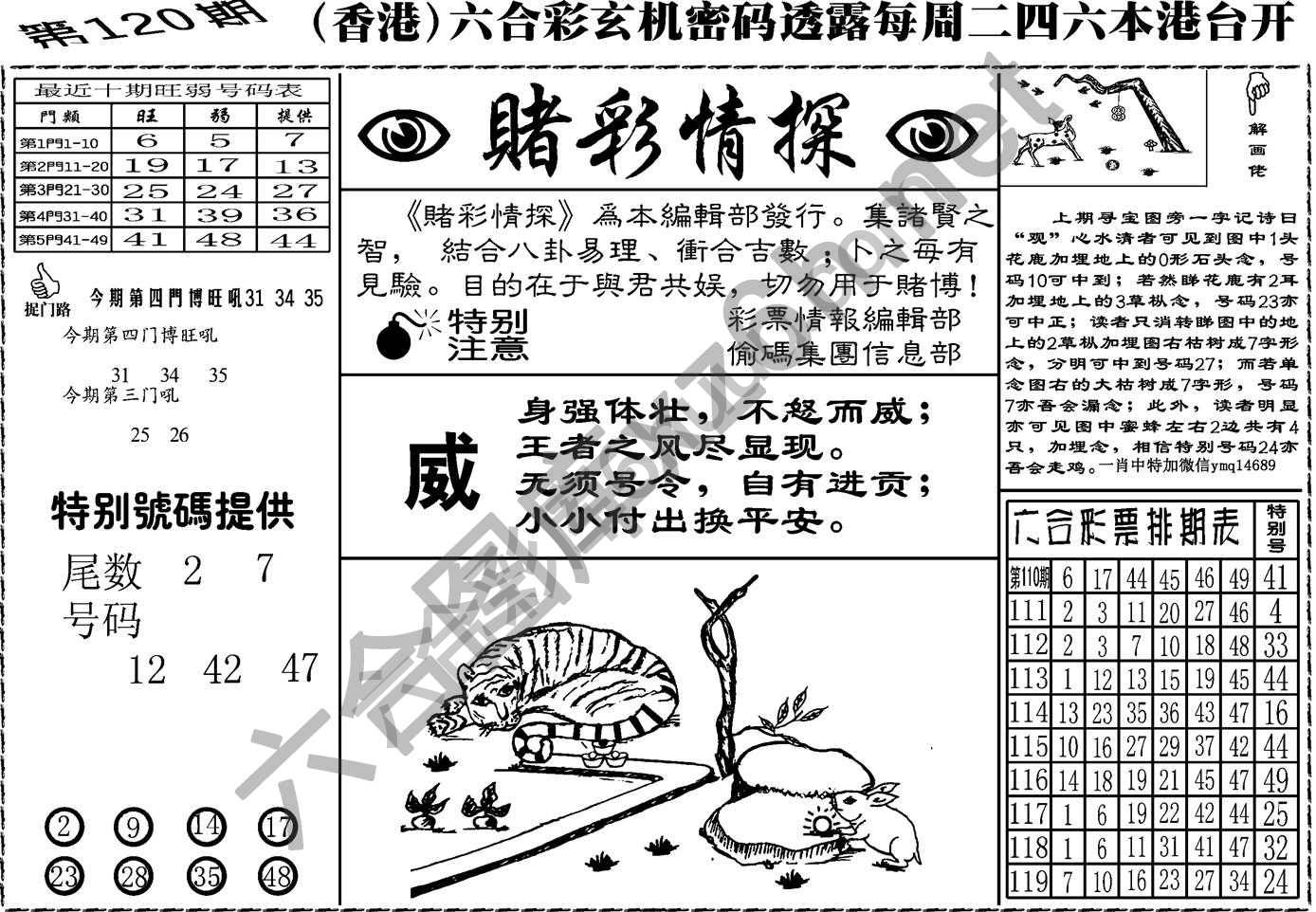 赌彩情探