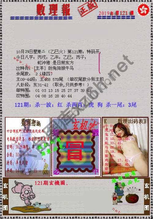 数理报