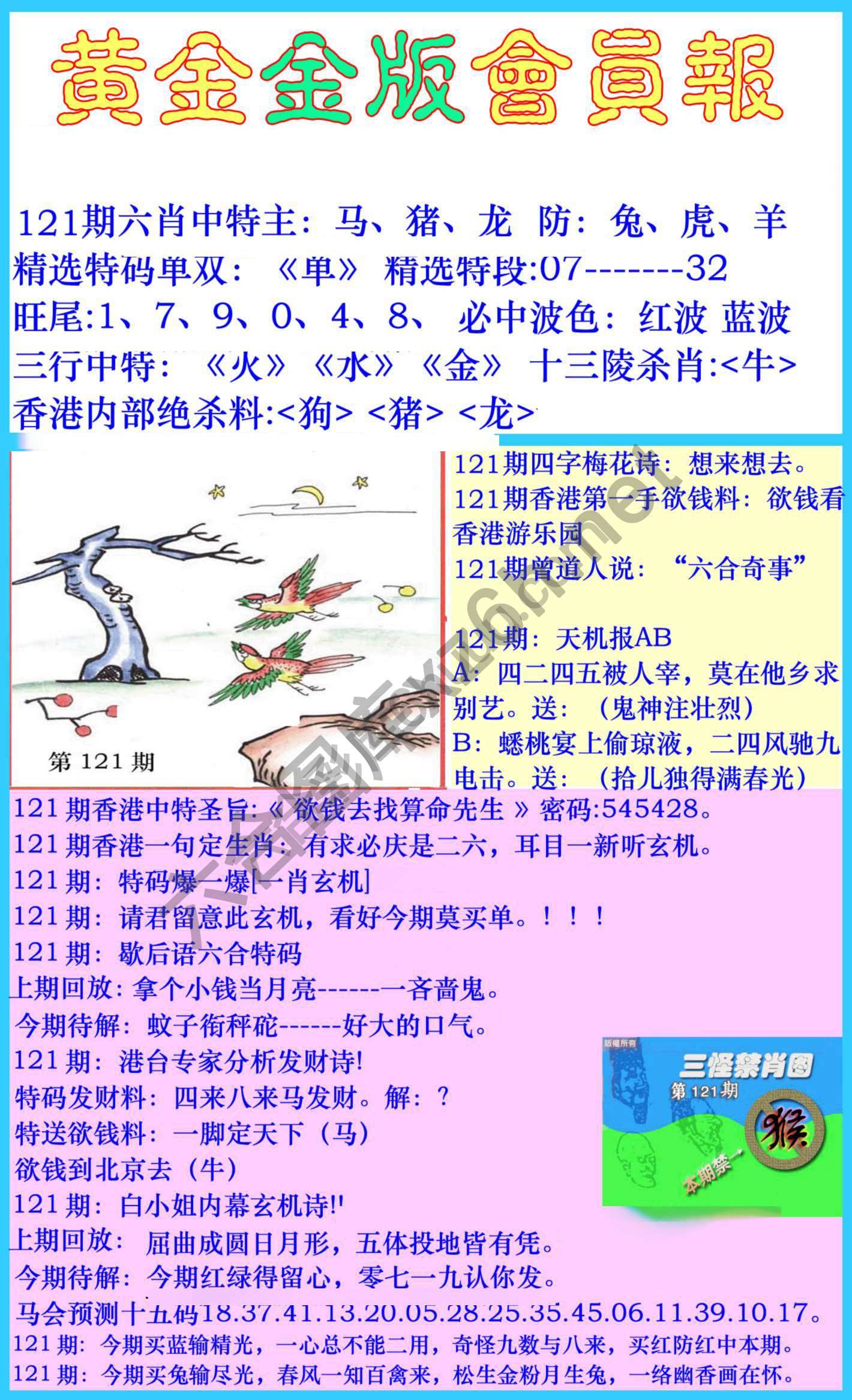黄金金版会员报