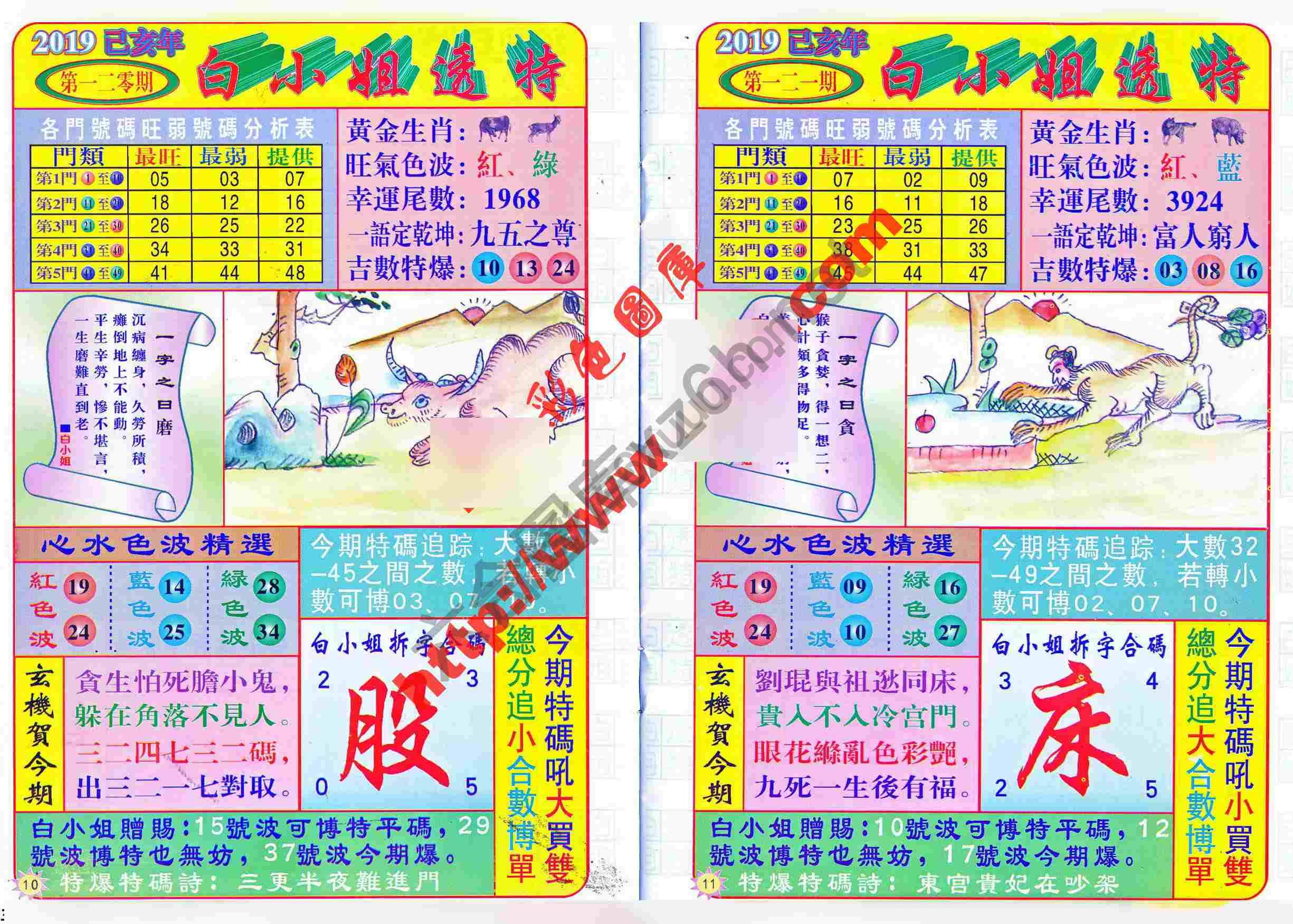白小姐透特