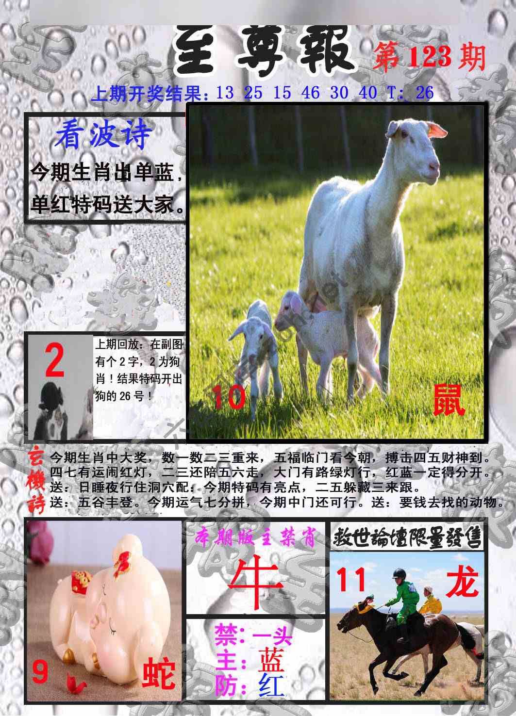 至尊报