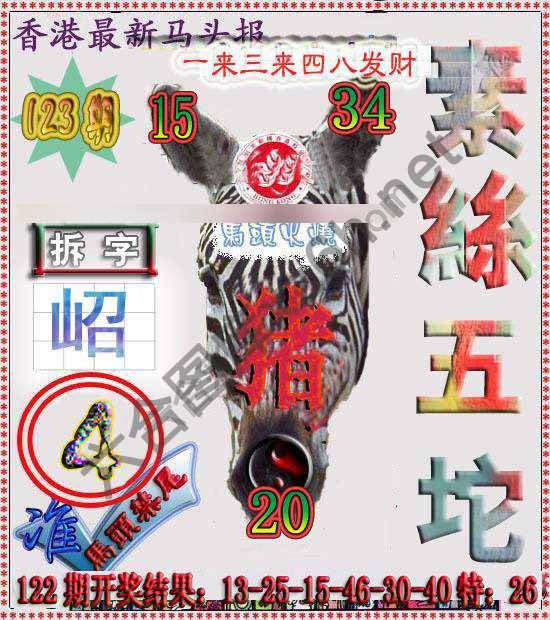 香港马头报