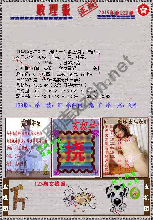 数理报