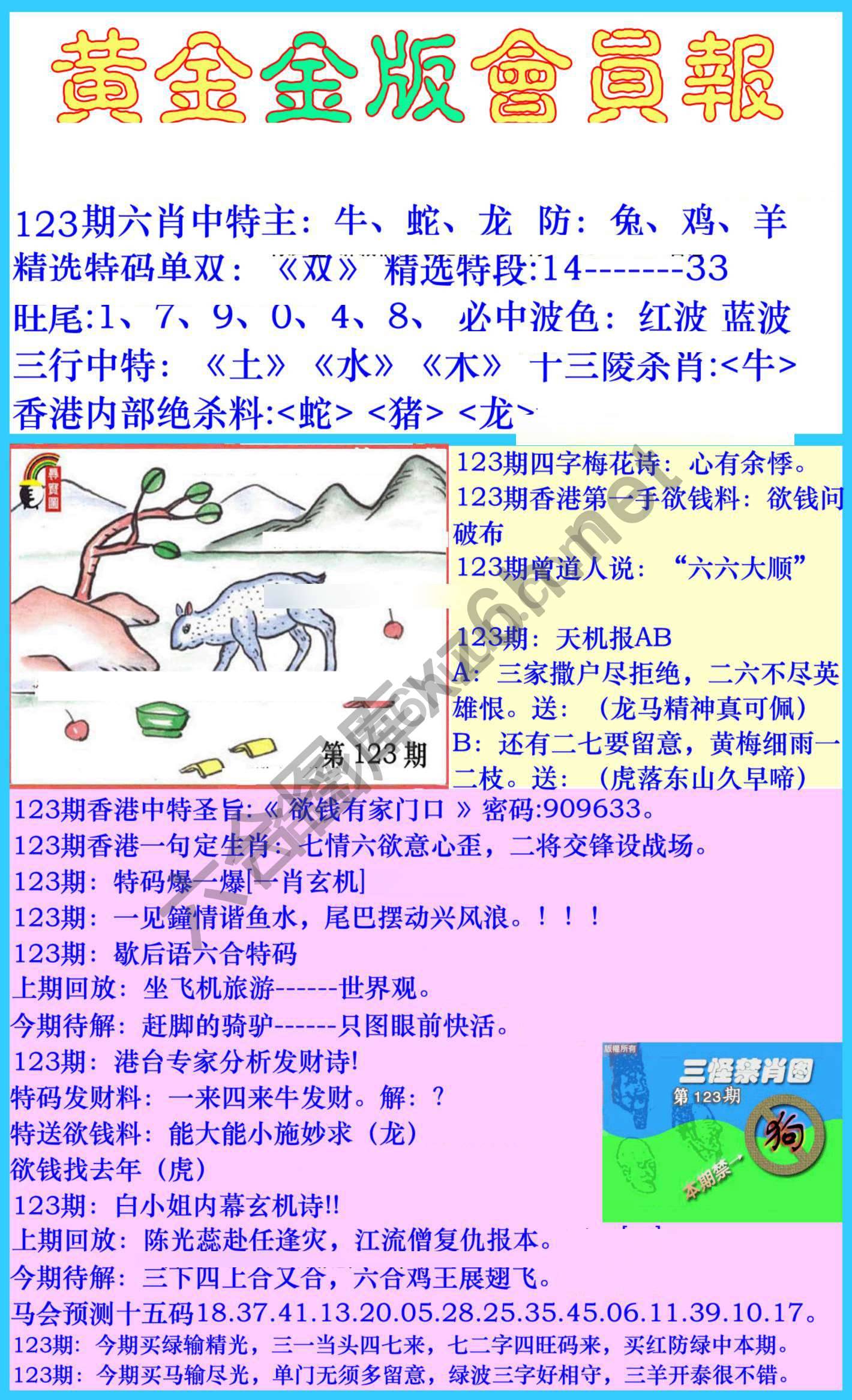 黄金金版会员报
