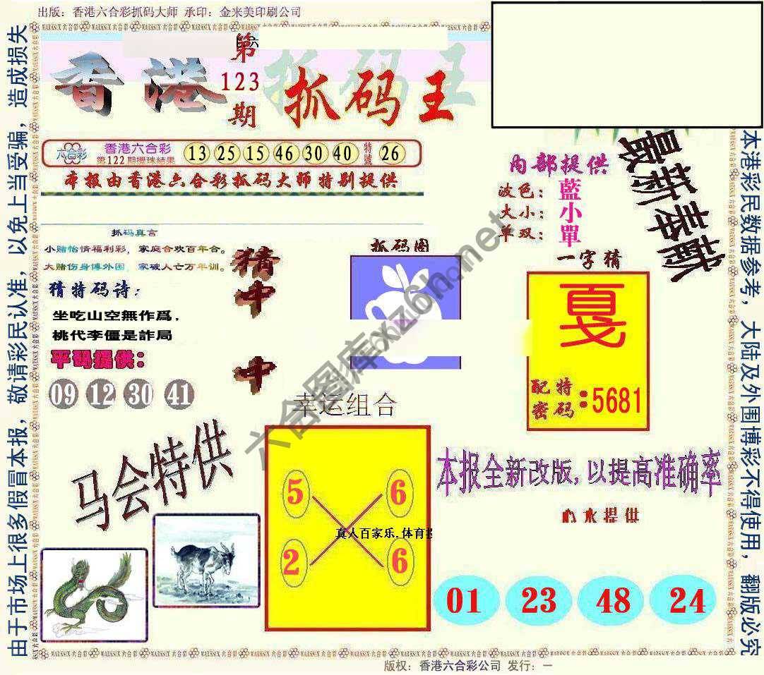 新抓码王