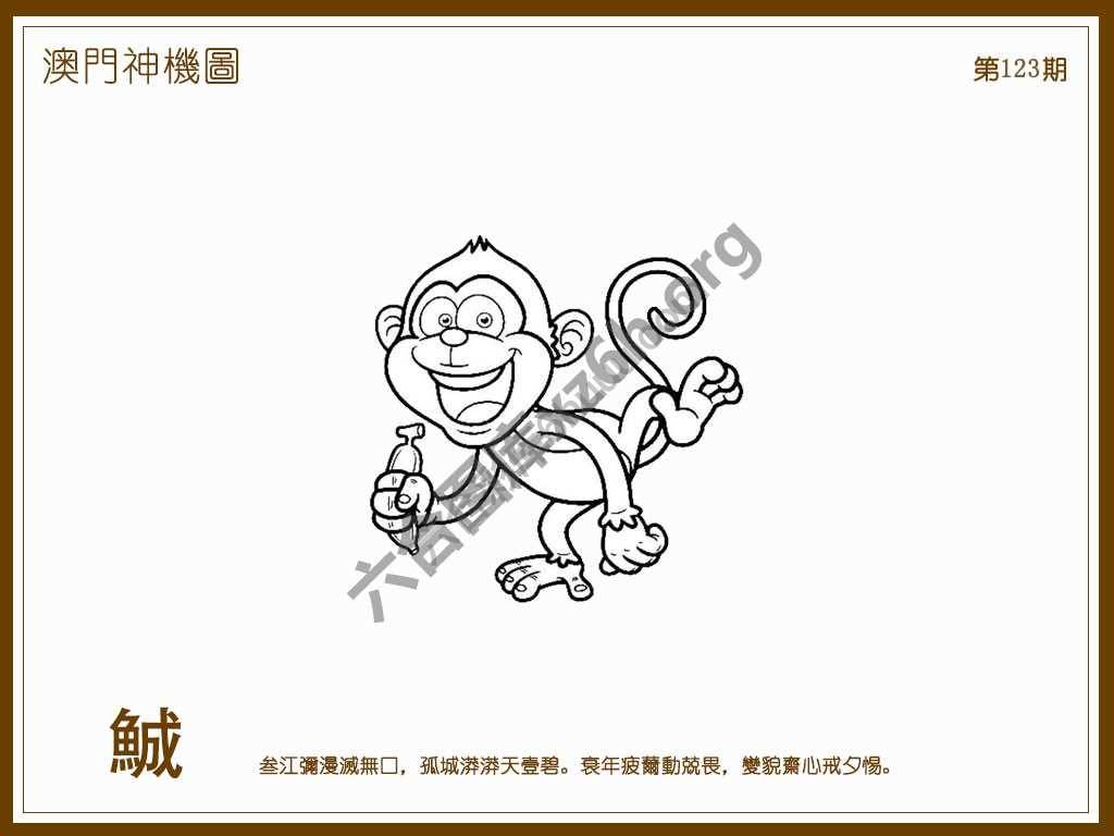 澳门神机图