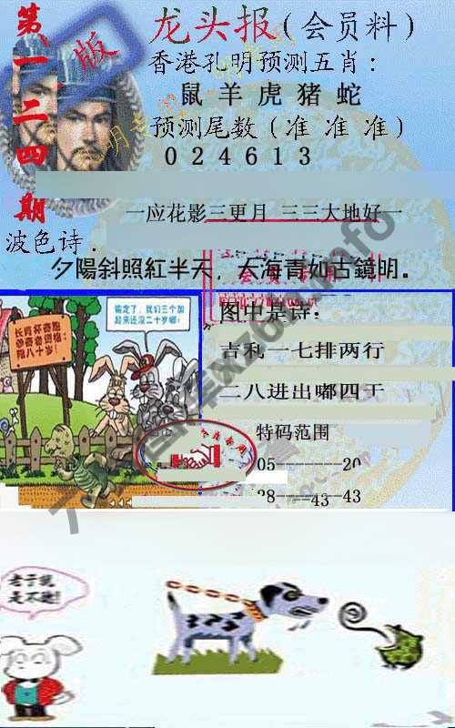 龙头报