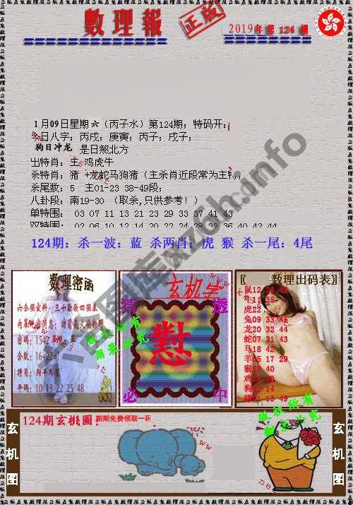 数理报
