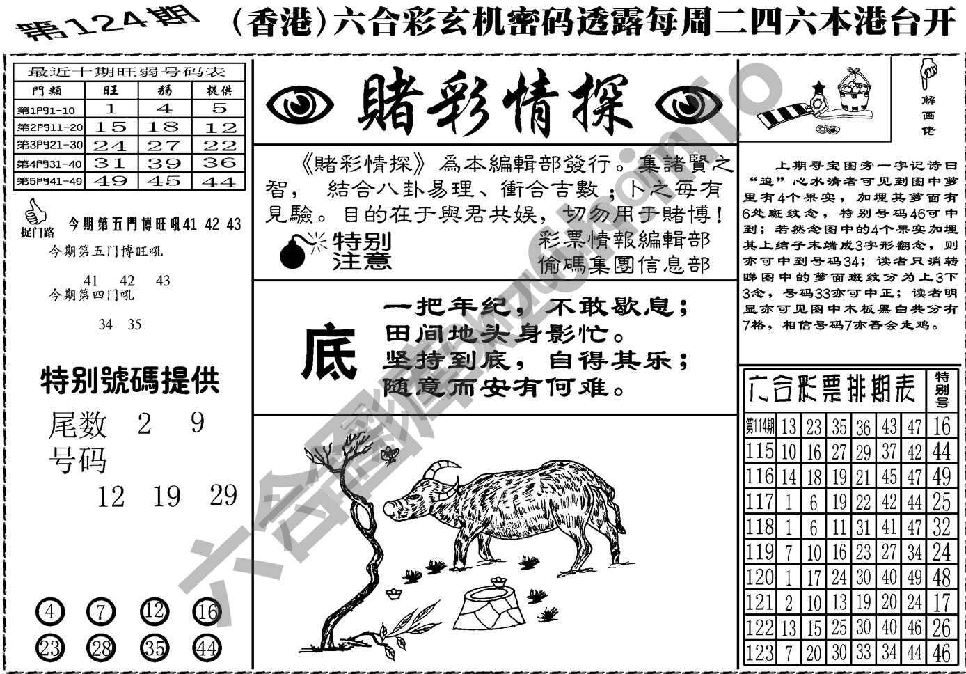 赌彩情探