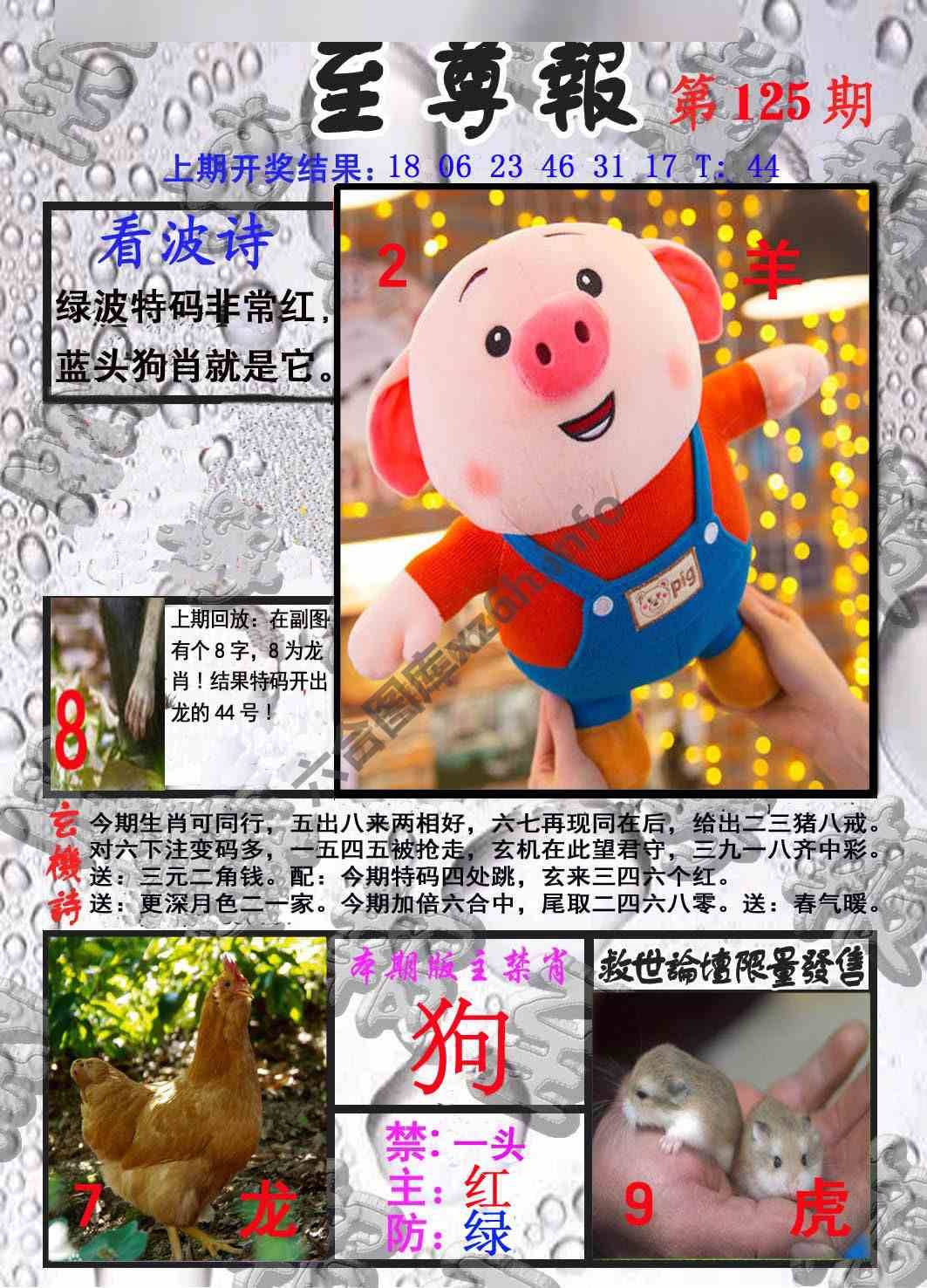 至尊报