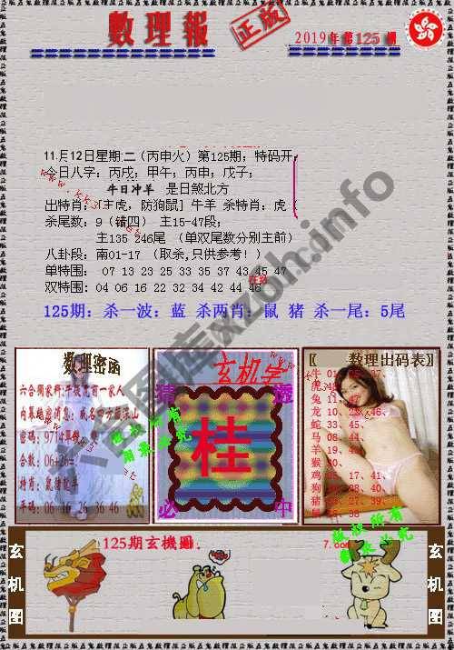 数理报