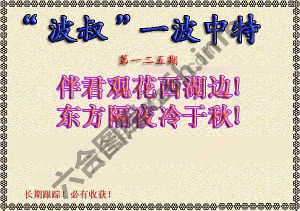 波叔一波中特