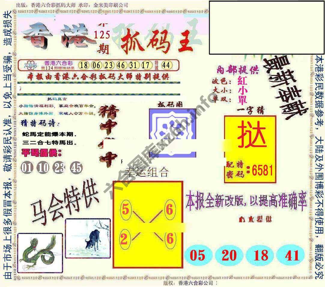 新抓码王