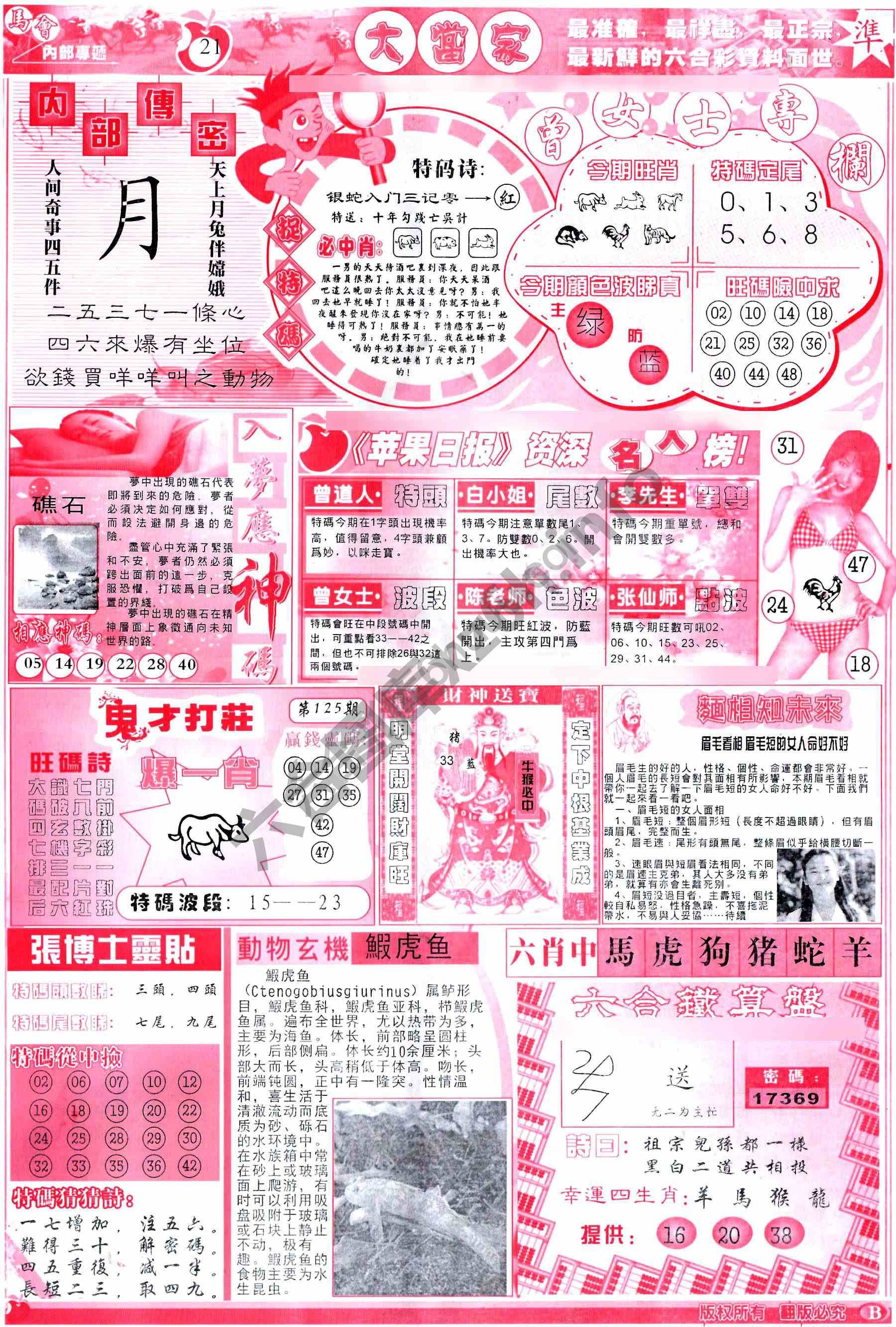 大当家