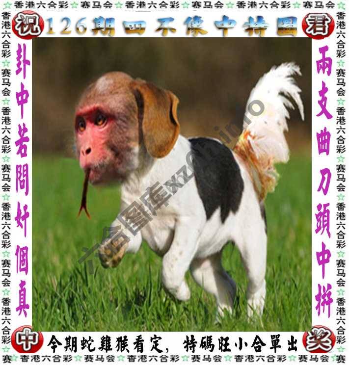 四不像中特图