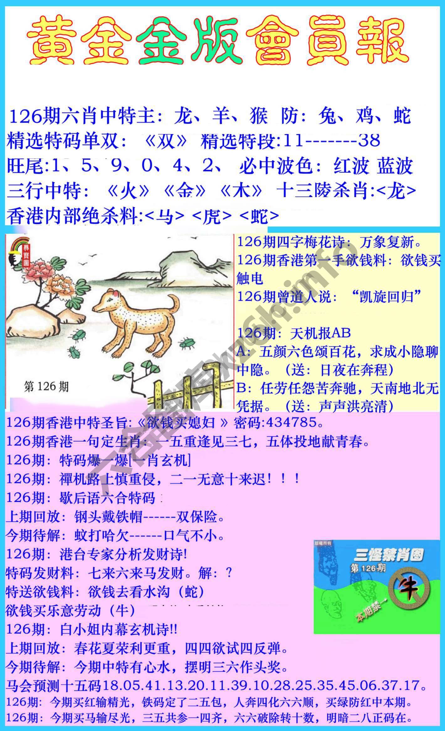 黄金金版会员报