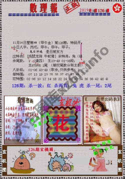 数理报