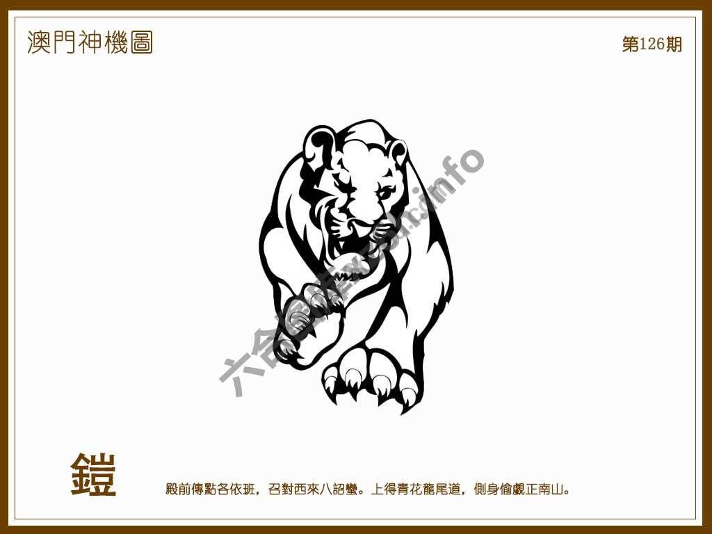 澳门神机图
