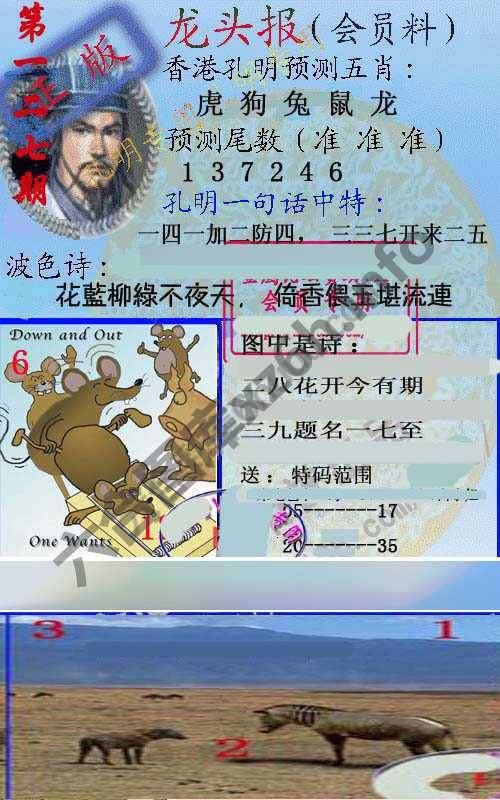 龙头报