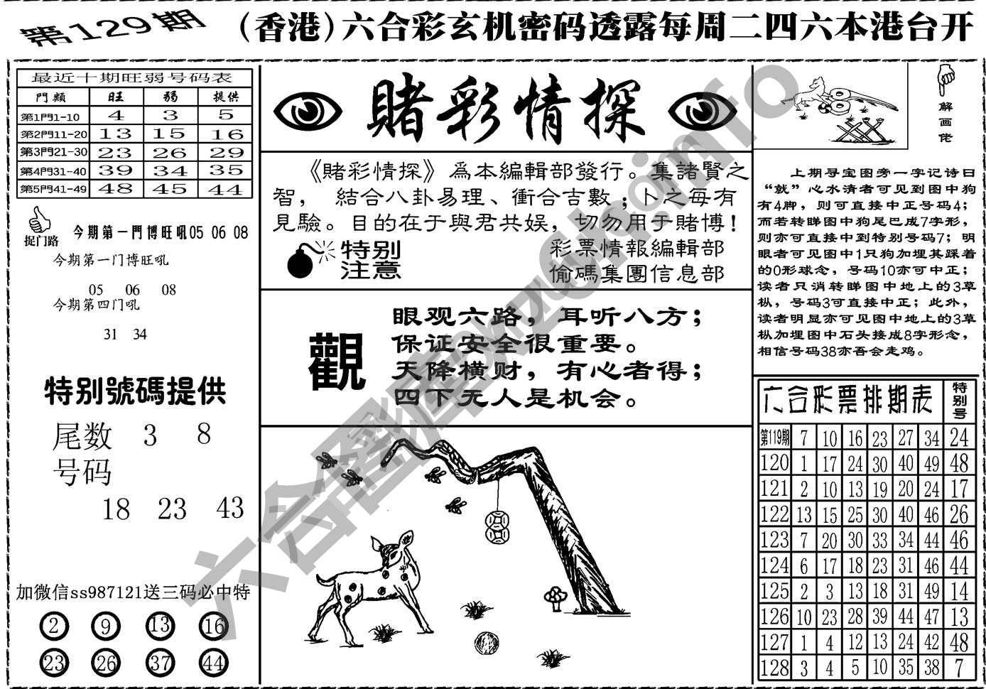 赌彩情探