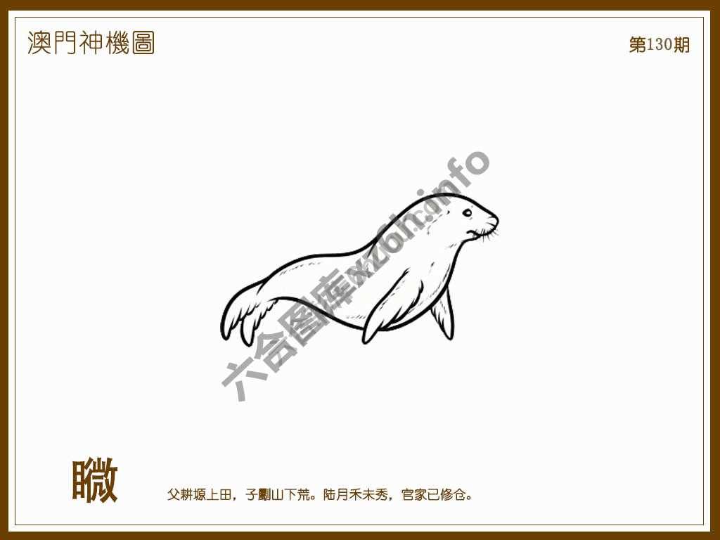 澳门神机图