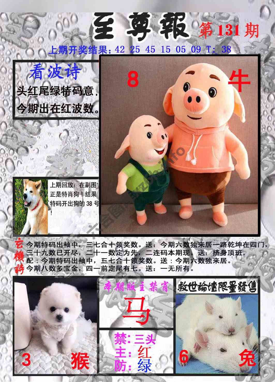 至尊报