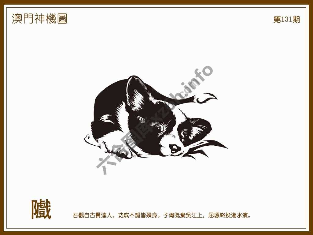 澳门神机图