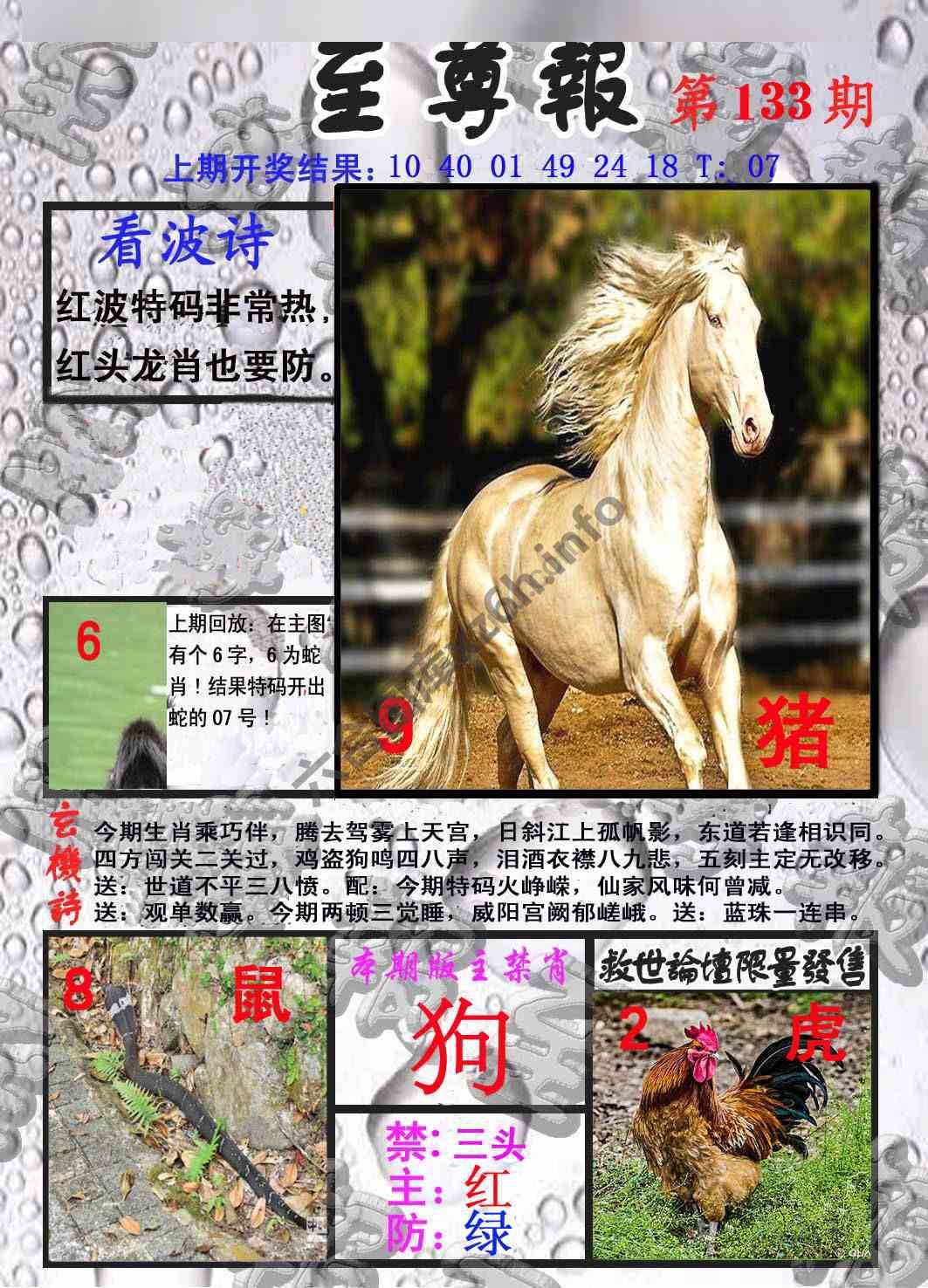至尊报