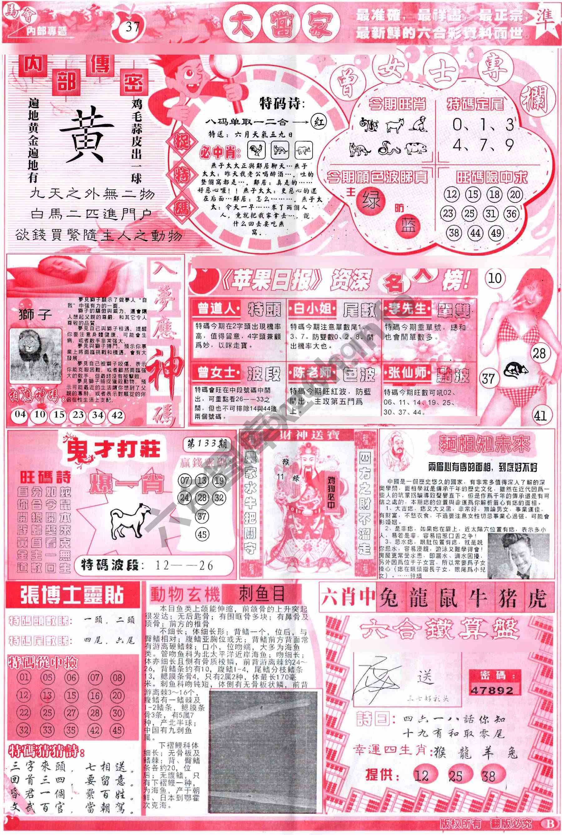 大当家