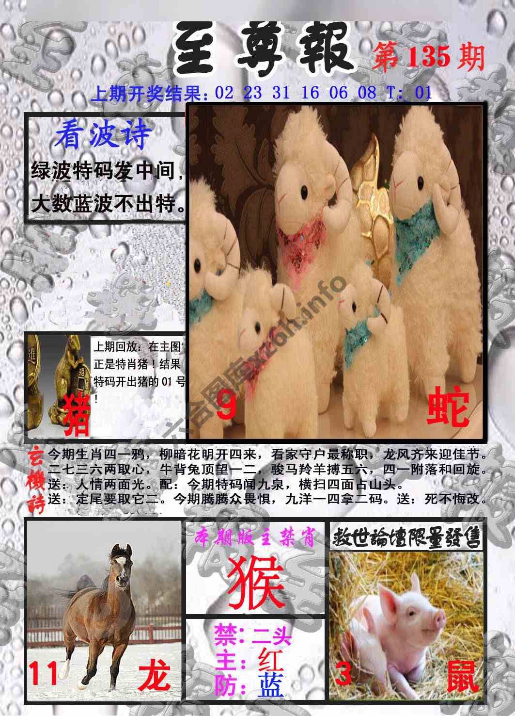 至尊报