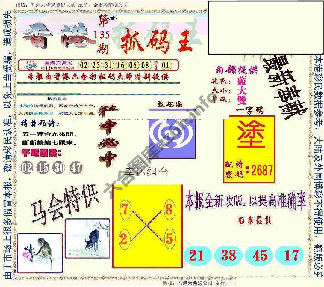 新抓码王