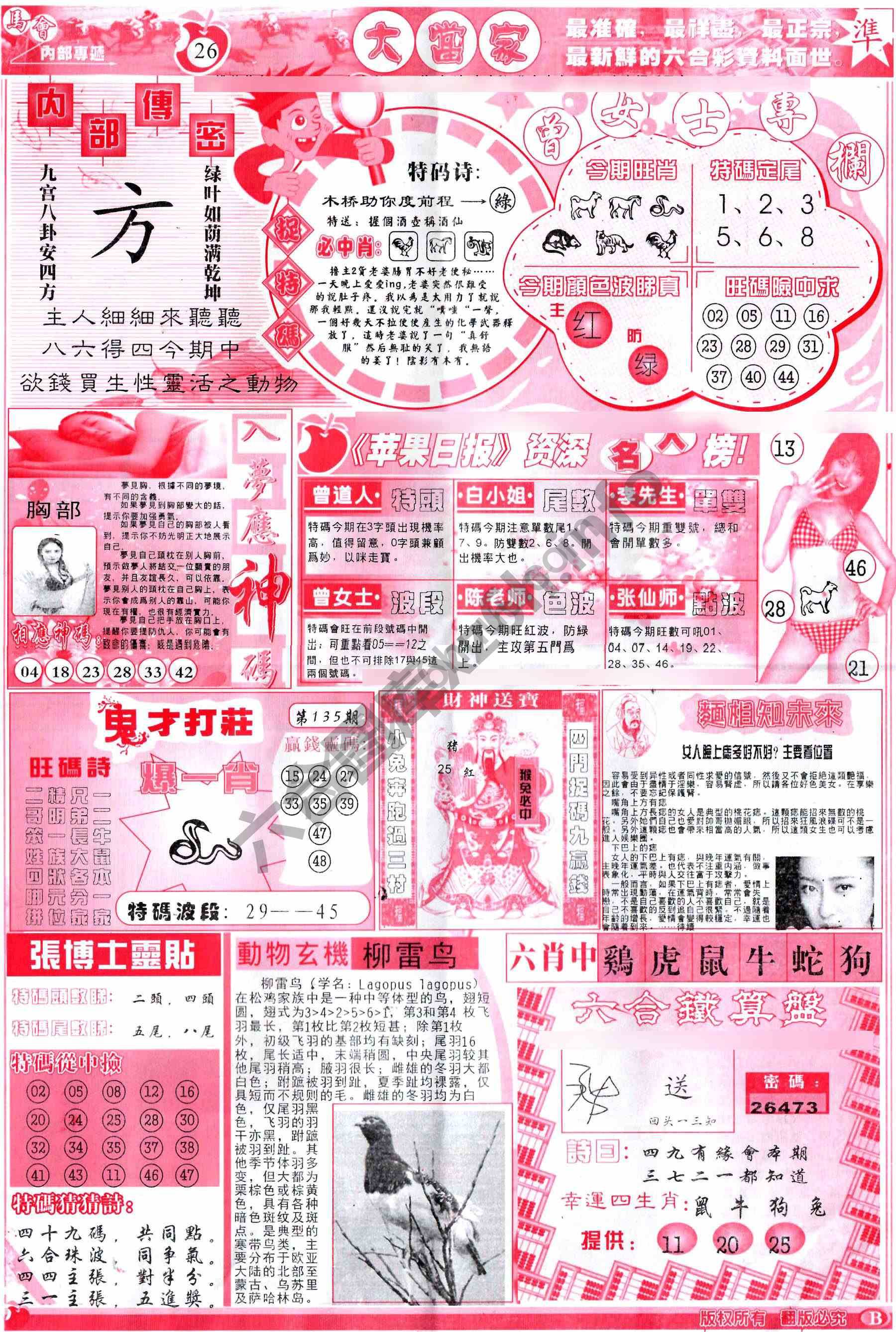 大当家