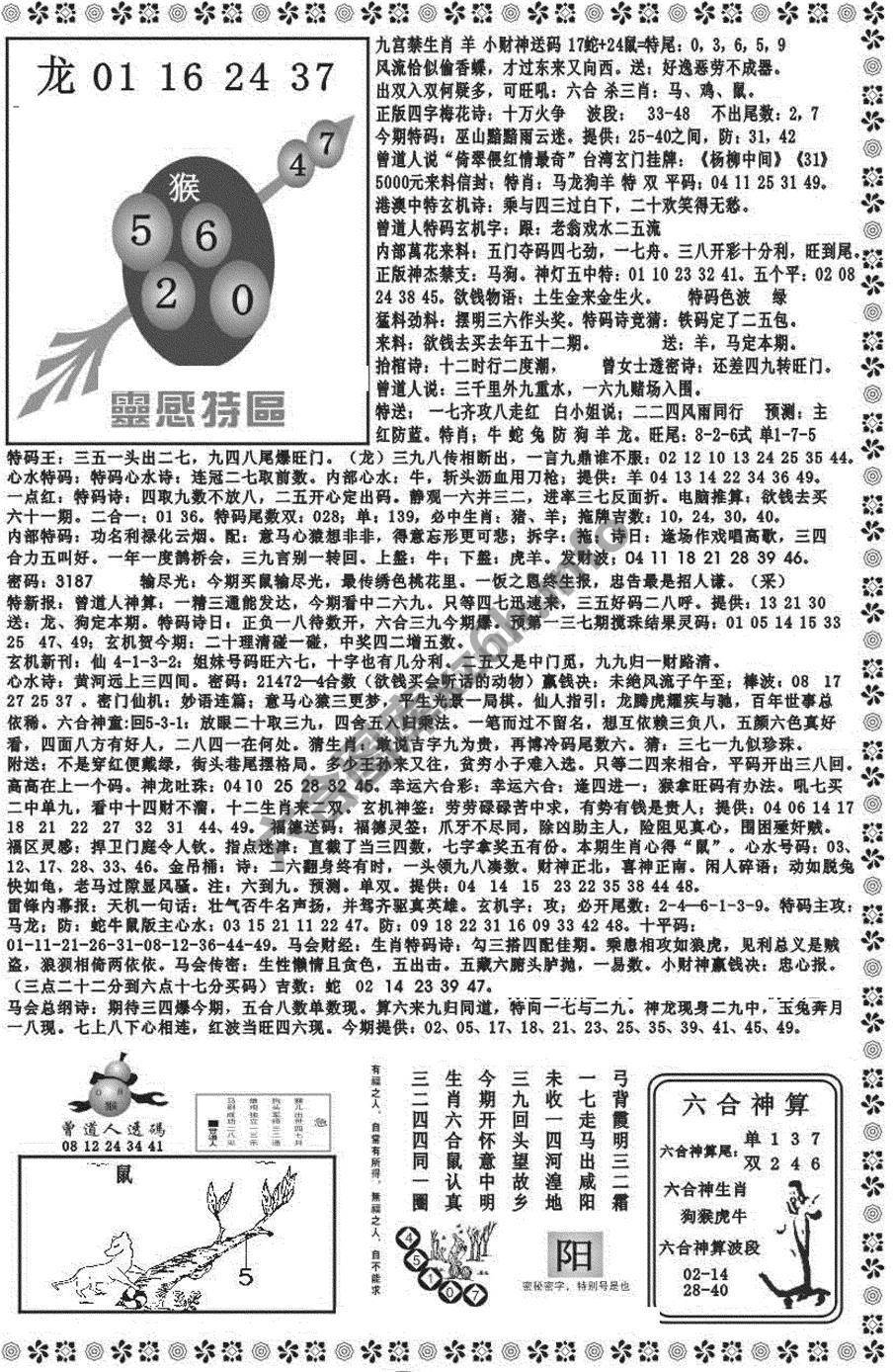 新香港彩霸王