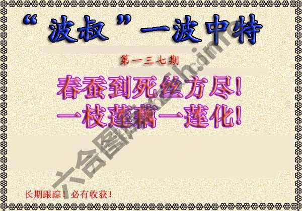 波叔一波中特