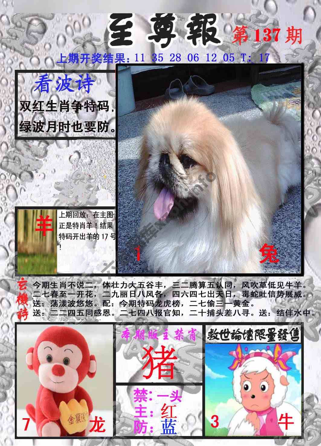 至尊报