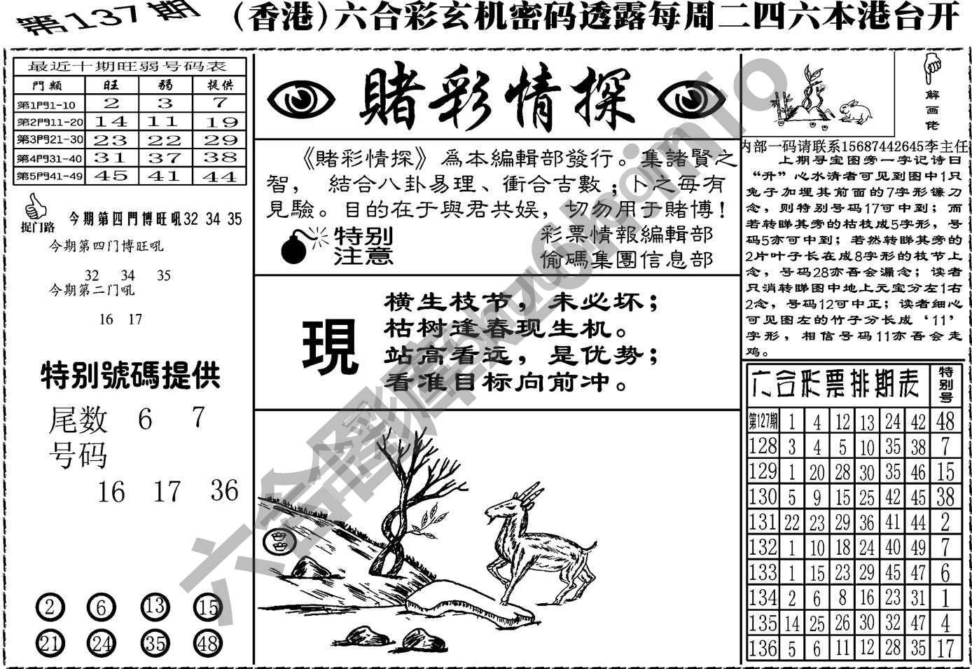 赌彩情探