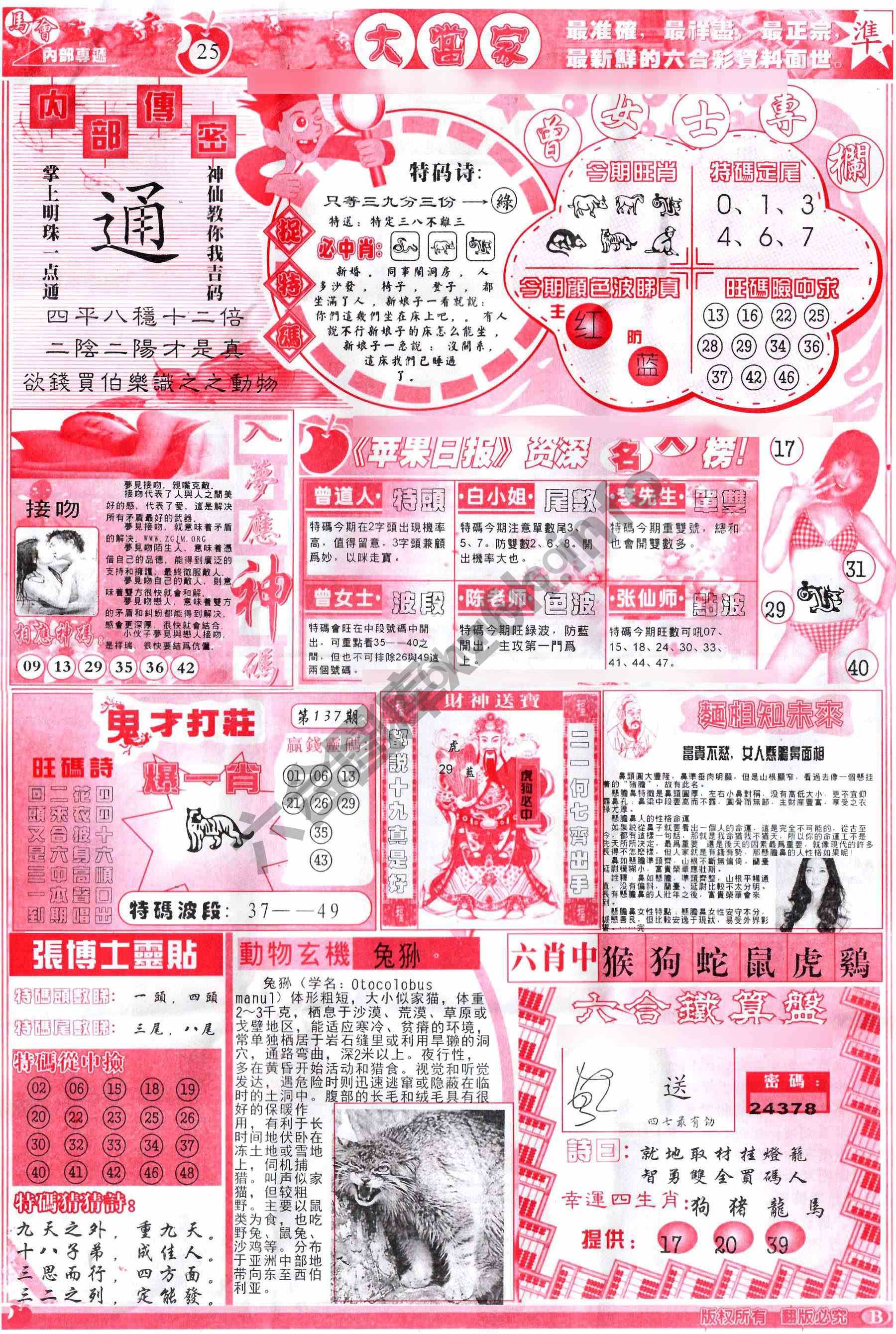 大当家