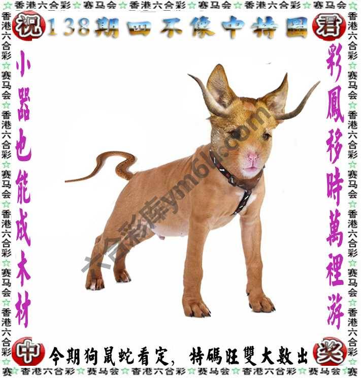 四不像中特图