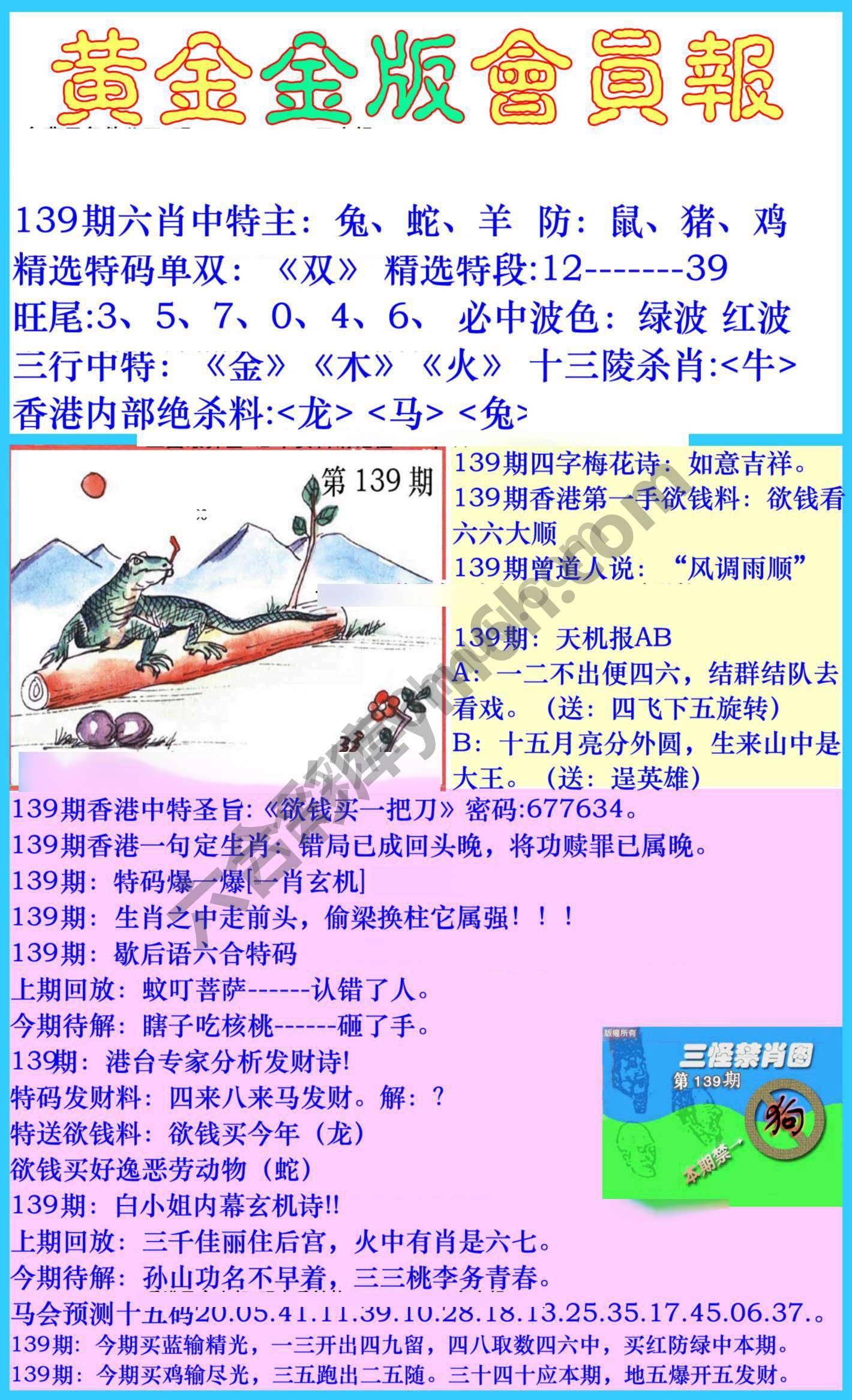 黄金金版会员报