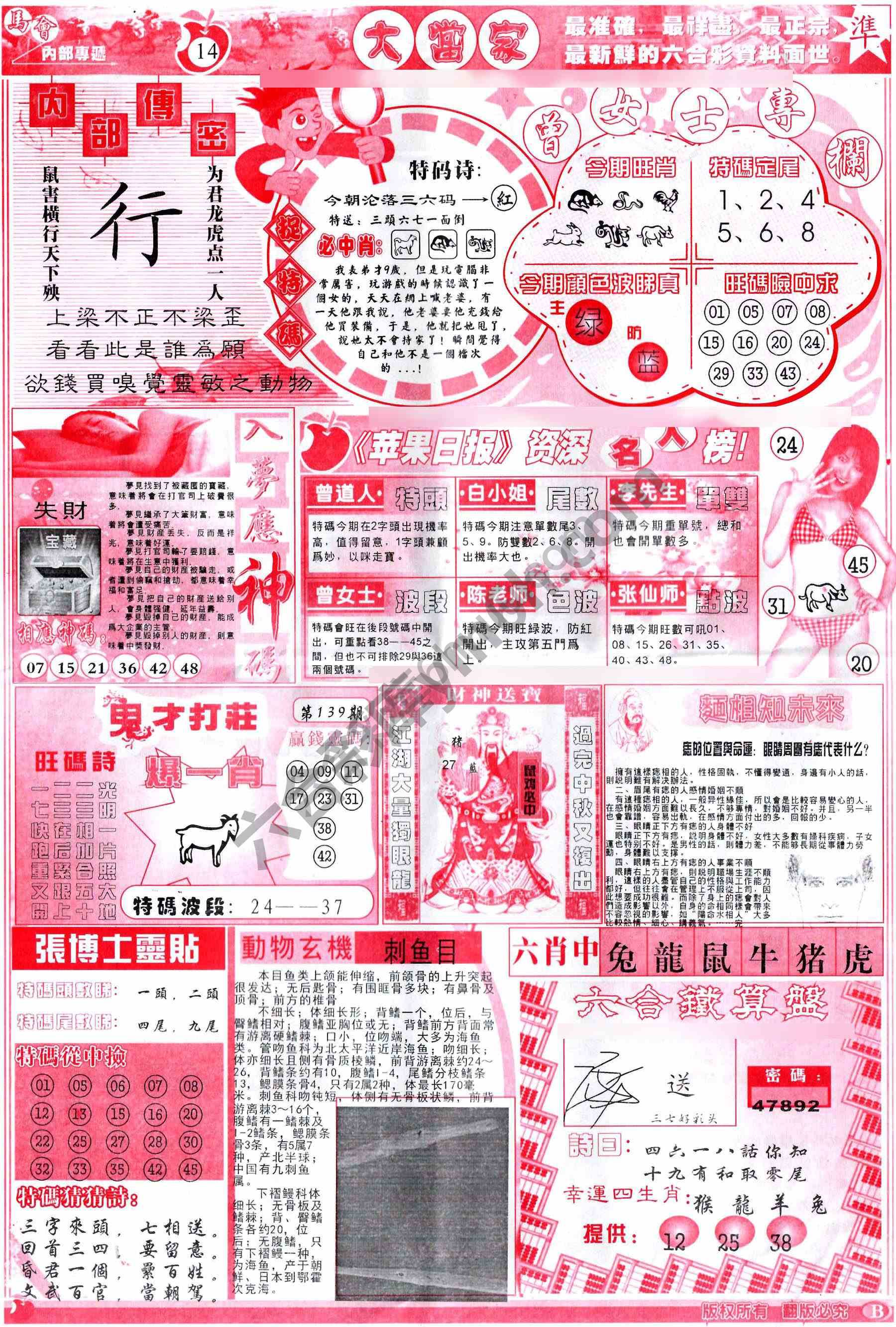 大当家