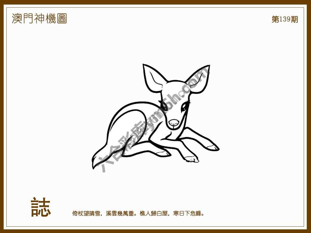 澳门神机图