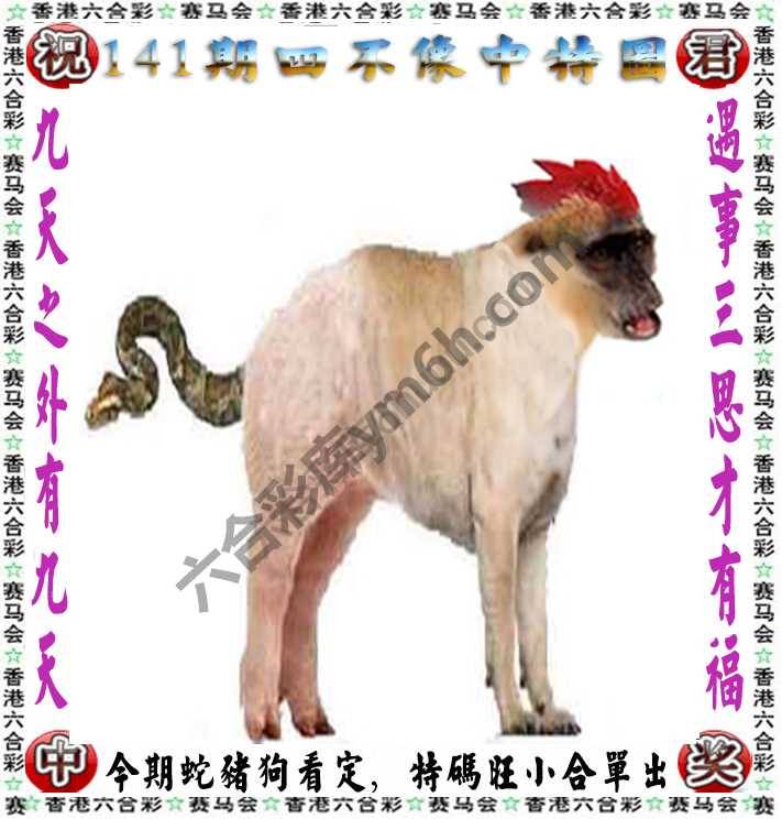 四不像中特图