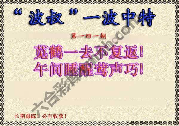 波叔一波中特