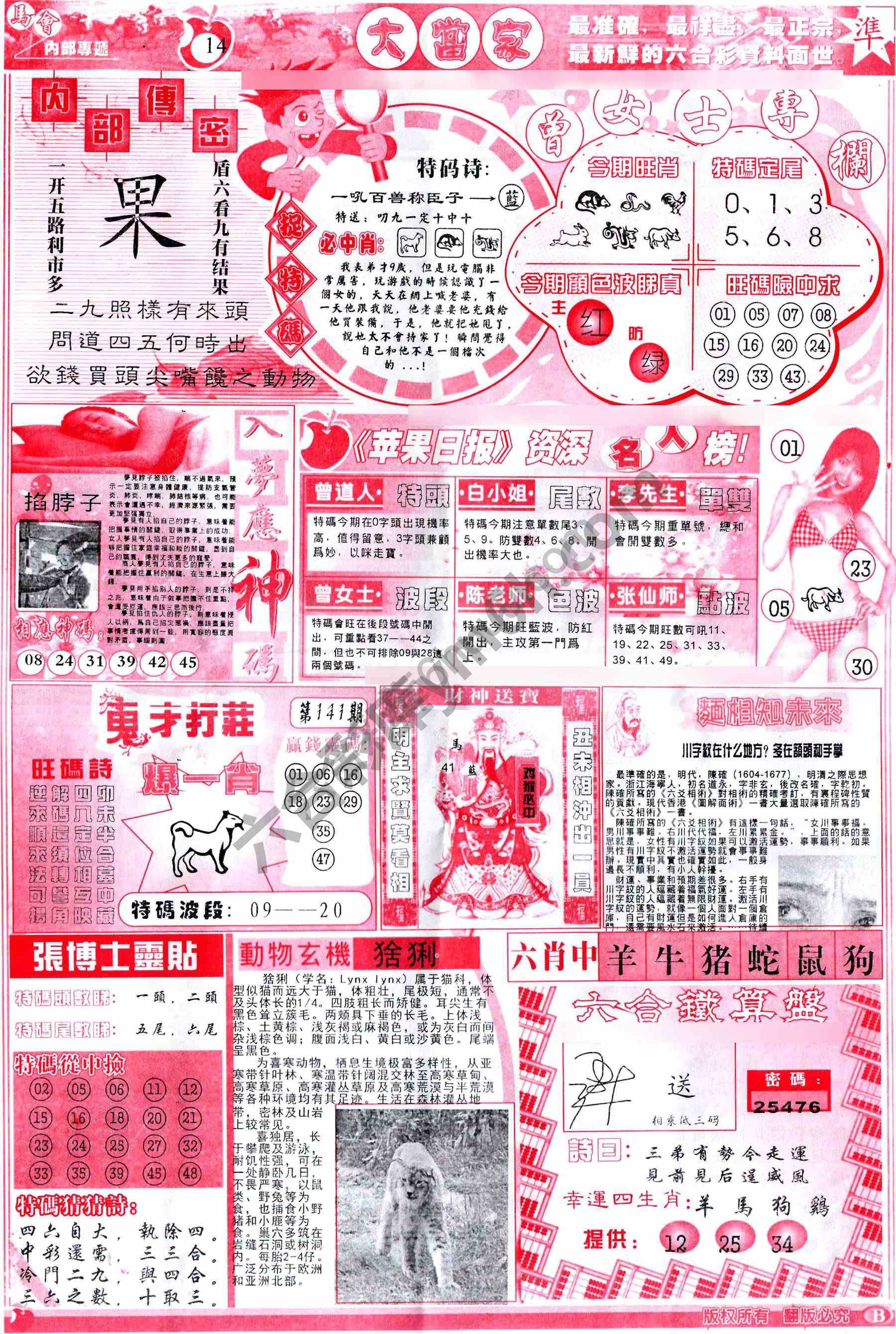 大当家