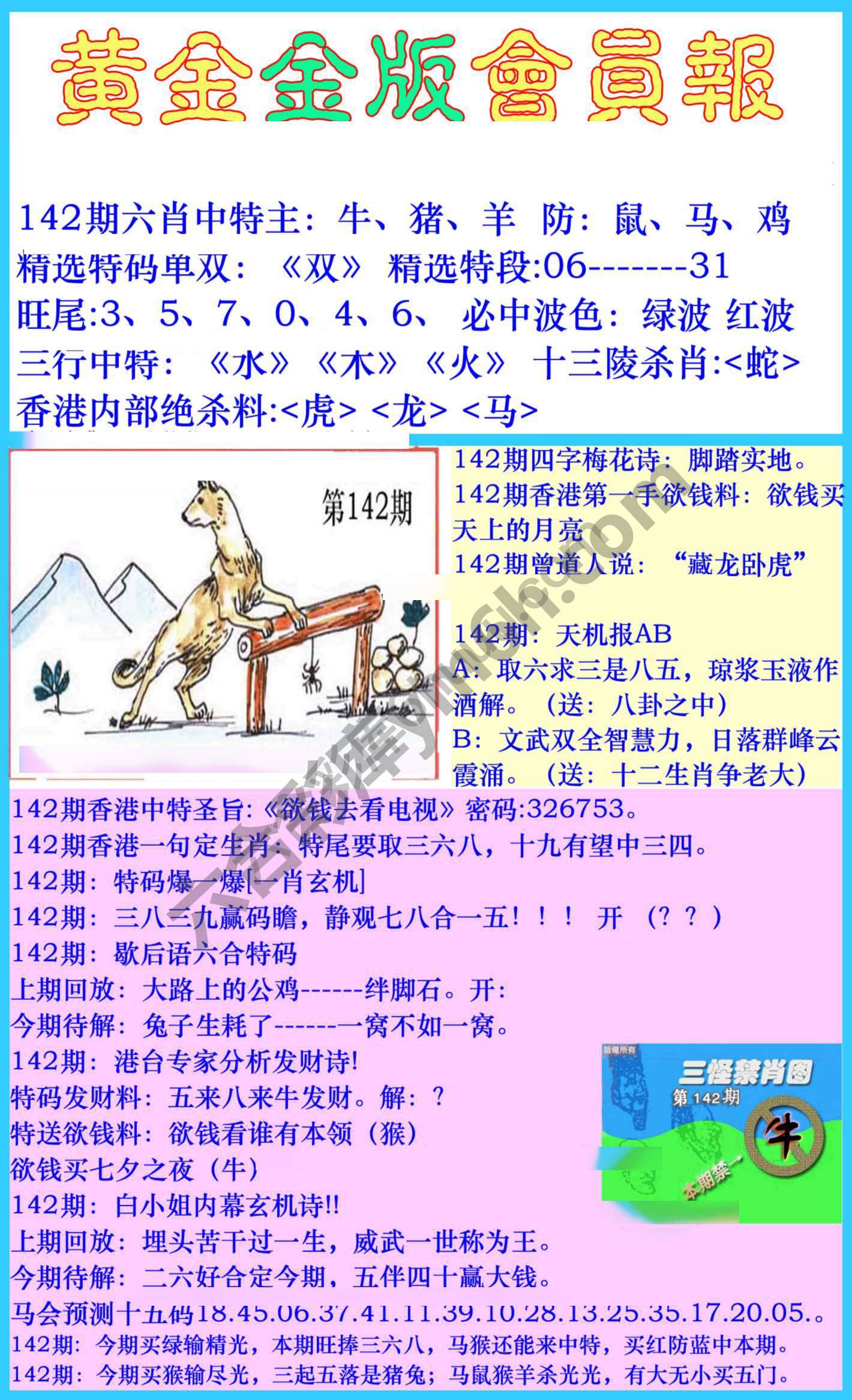 黄金金版会员报