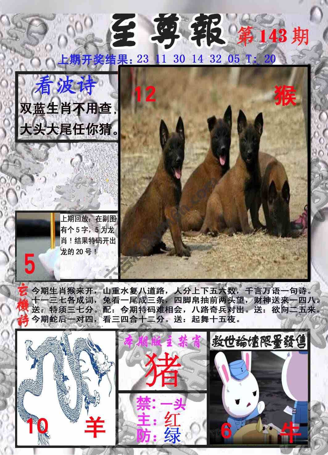 至尊报