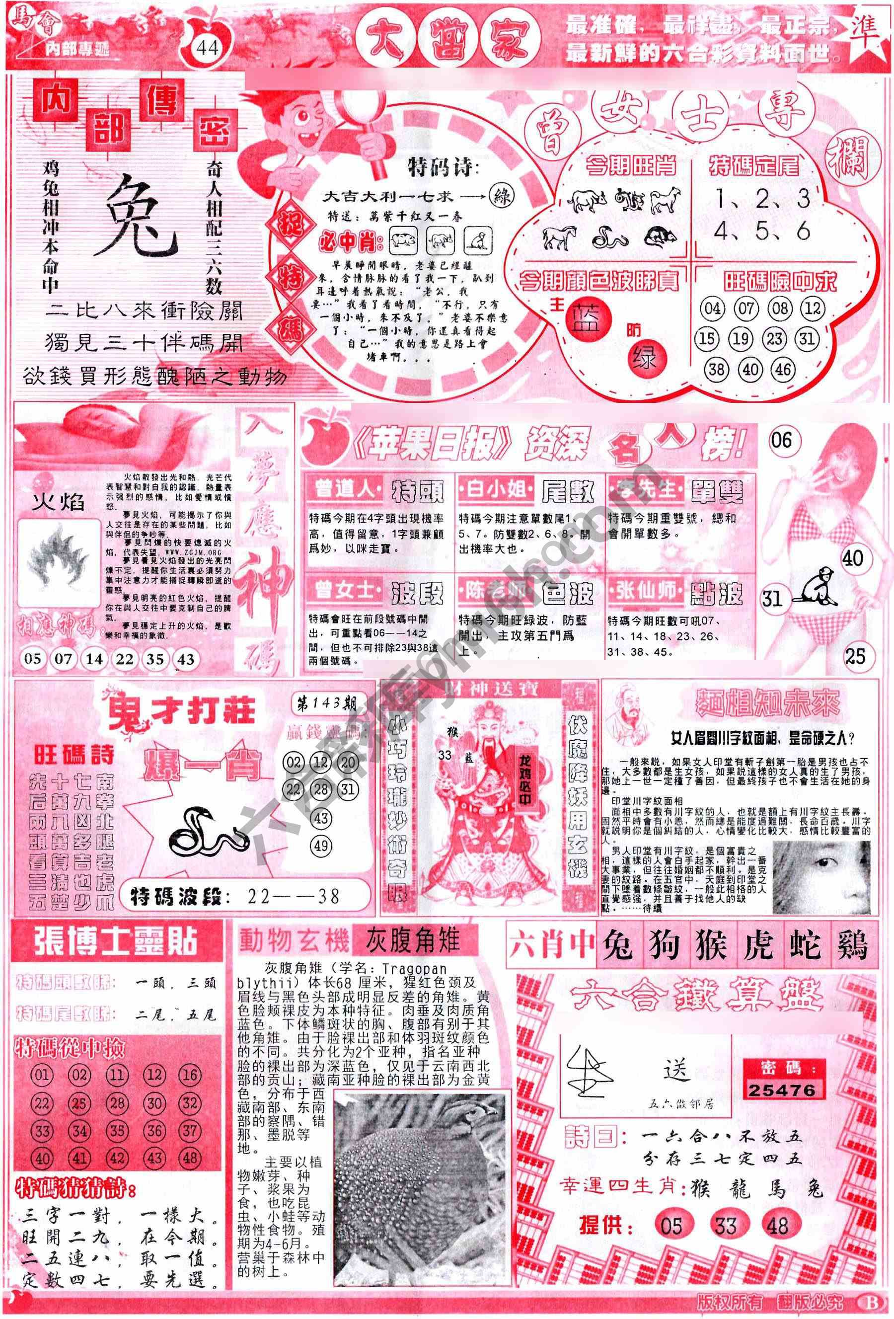 大当家