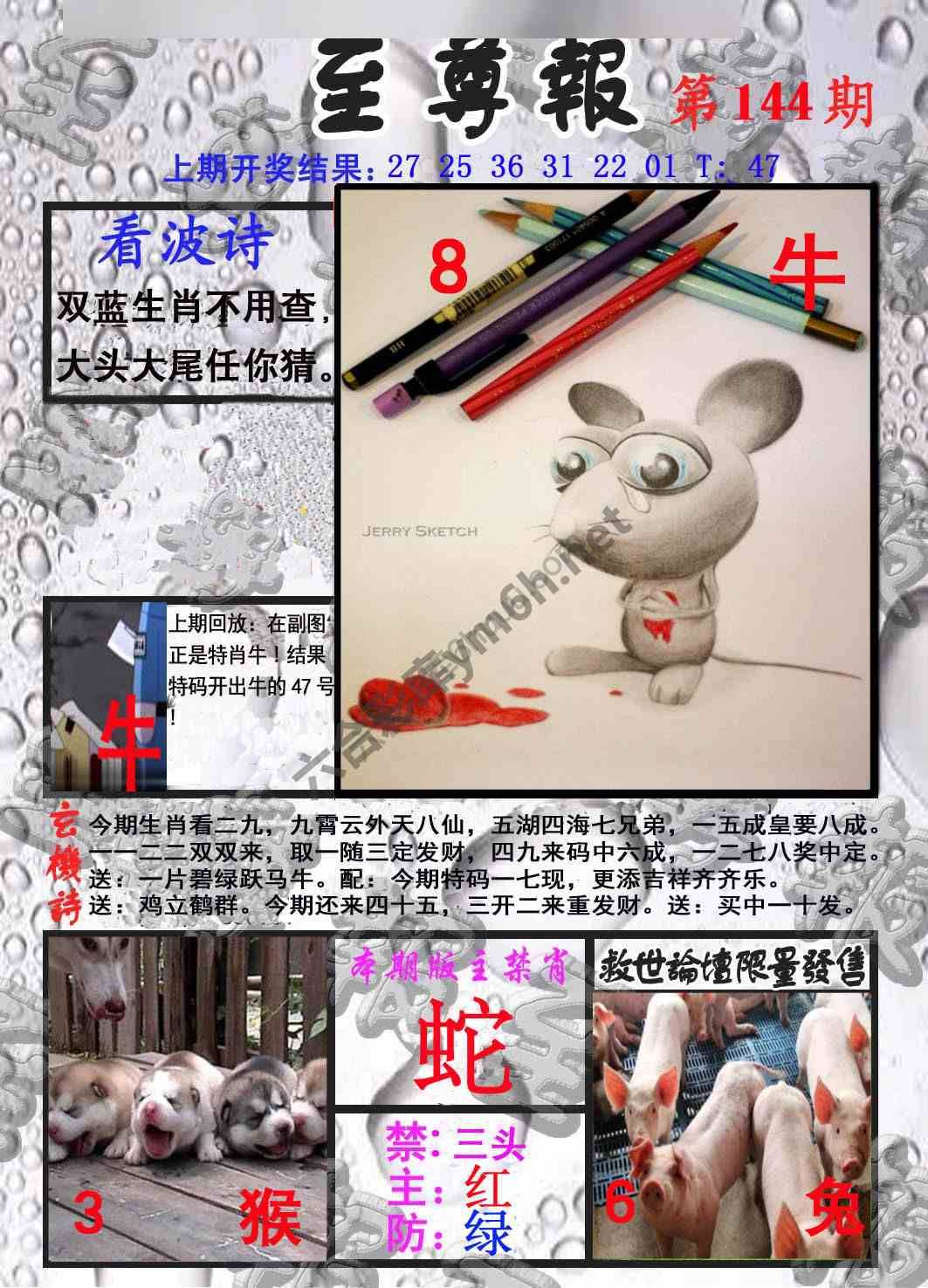 至尊报